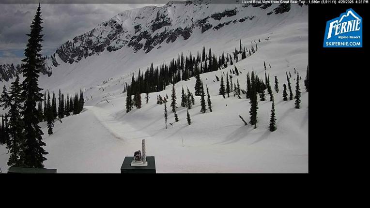Webcam Fernie: Lizard Bowl