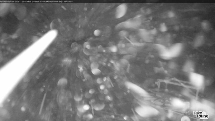 Webcam Fernie: Paradise