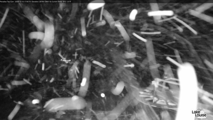 Webcam Fernie: Paradise