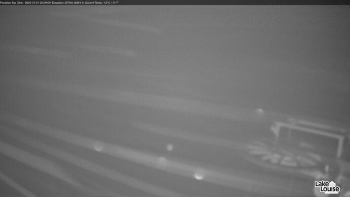 Webcam Fernie: Paradise