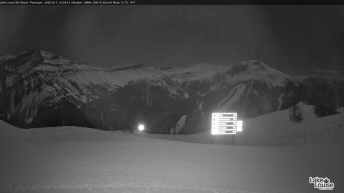 Webcam Fernie: Ptarmigan