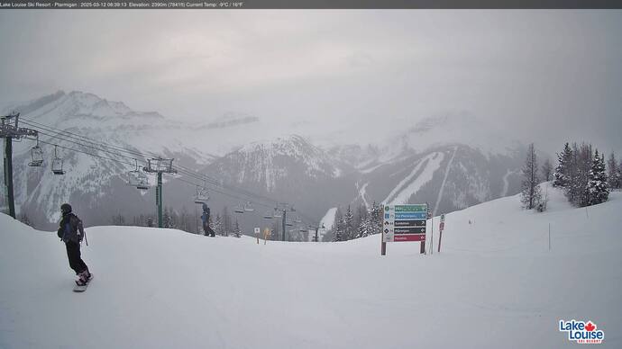 Webcam Fernie: Ptarmigan