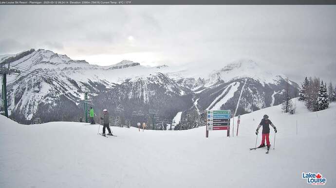 Webcam Fernie: Ptarmigan