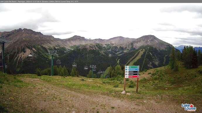 Webcam Fernie: Ptarmigan