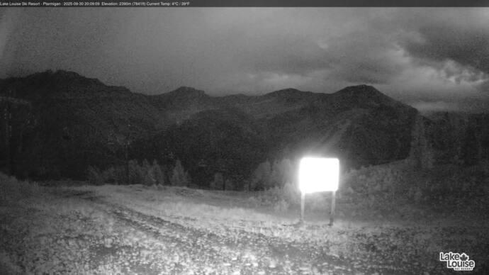 Webcam Fernie: Ptarmigan