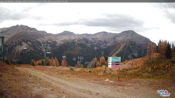 Webcam Fernie: Ptarmigan