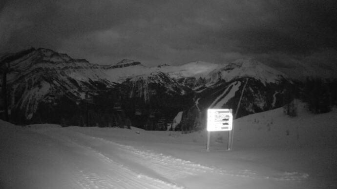 Webcam Fernie: Ptarmigan