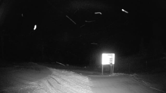 Webcam Fernie: Ptarmigan