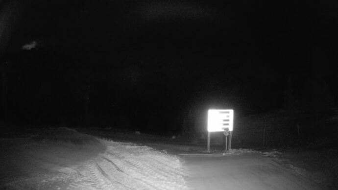 Webcam Fernie: Ptarmigan