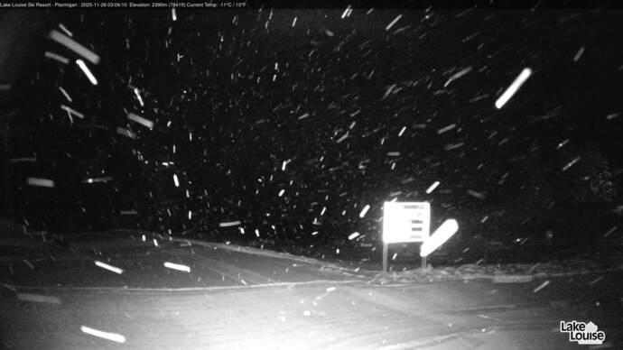 Webcam Fernie: Ptarmigan