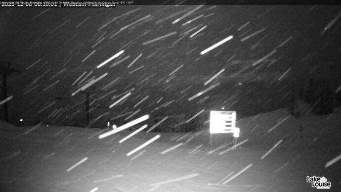 Webcam Fernie: Ptarmigan