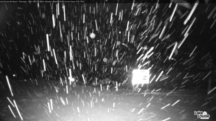 Webcam Fernie: Ptarmigan