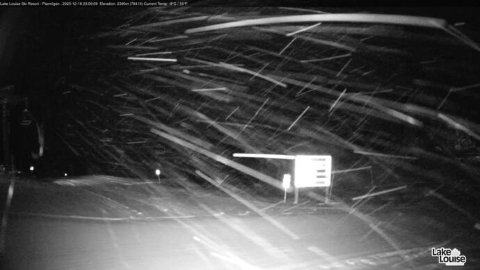 Webcam Fernie: Ptarmigan