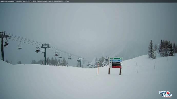 Webcam Fernie: Ptarmigan