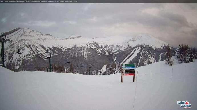 Webcam Fernie: Ptarmigan