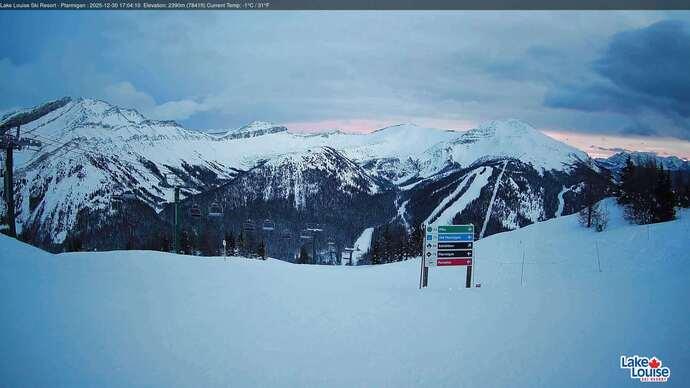 Webcam Fernie: Ptarmigan