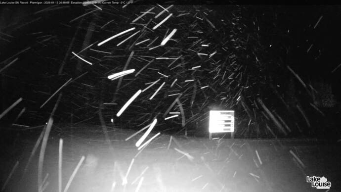 Webcam Fernie: Ptarmigan