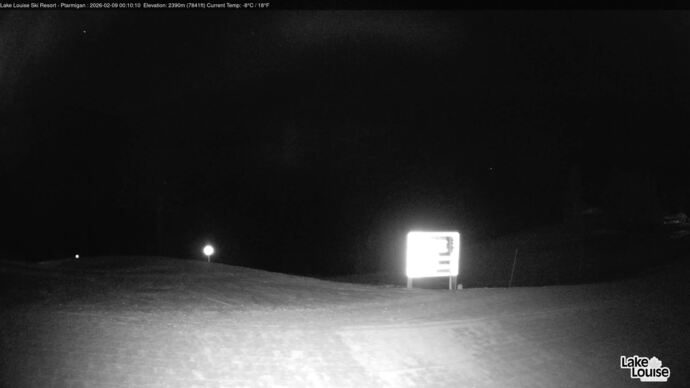 Webcam Fernie: Ptarmigan