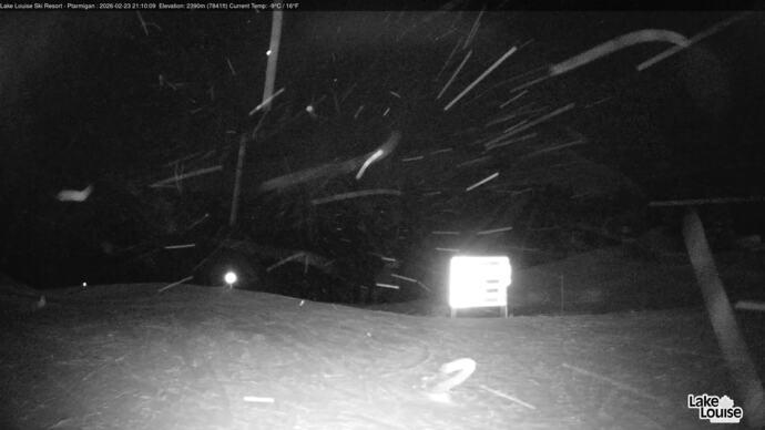 Webcam Fernie: Ptarmigan