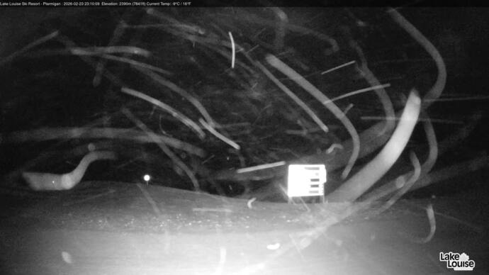 Webcam Fernie: Ptarmigan
