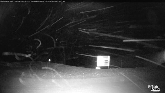 Webcam Fernie: Ptarmigan