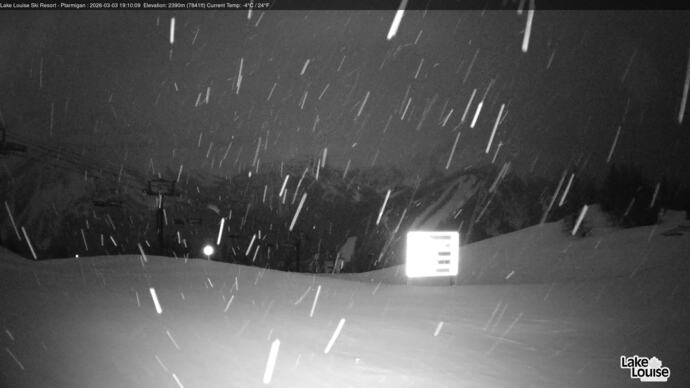 Webcam Fernie: Ptarmigan