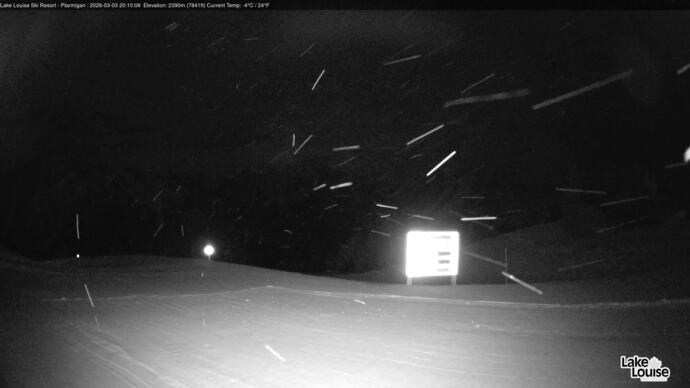 Webcam Fernie: Ptarmigan