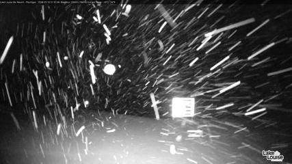 Fernie: Ptarmigan (skifernie.com)