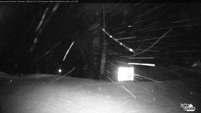 Webcam Fernie: Ptarmigan