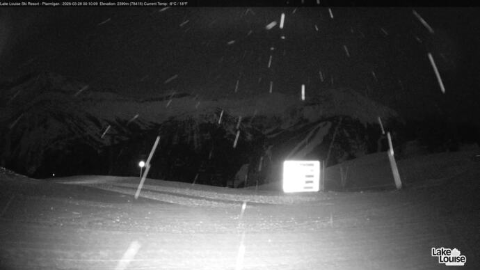 Webcam Fernie: Ptarmigan