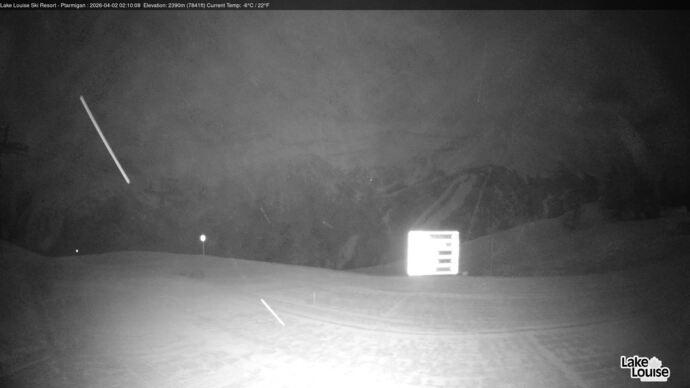 Webcam Fernie: Ptarmigan