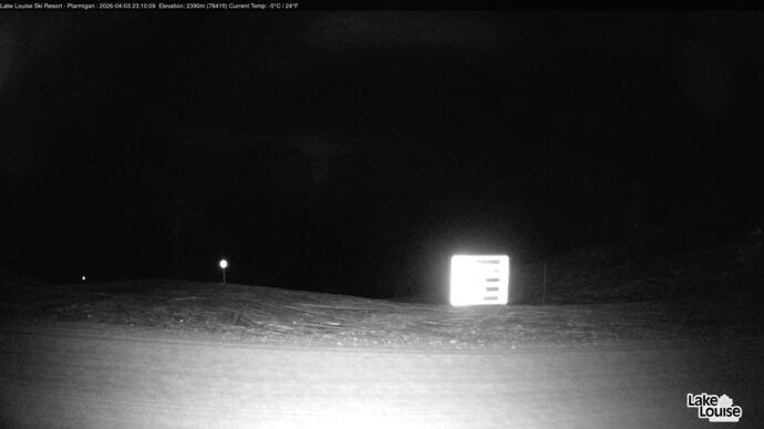 Webcam Fernie: Ptarmigan
