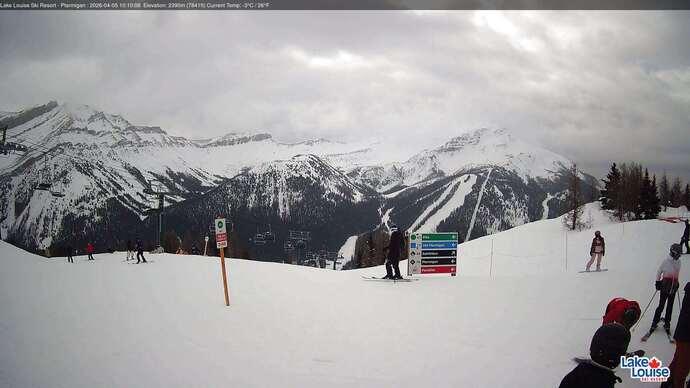 Webcam Fernie: Ptarmigan