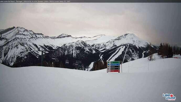 Webcam Fernie: Ptarmigan