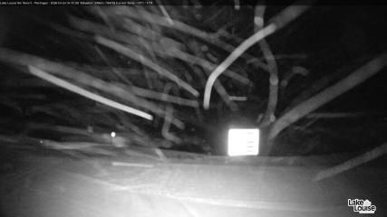 Fernie: Ptarmigan (skifernie.com)