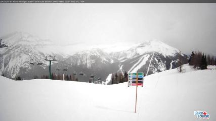 Fernie: Ptarmigan (skifernie.com)