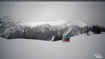 Fernie: Ptarmigan (skifernie.com)