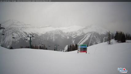 Fernie: Ptarmigan (skifernie.com)