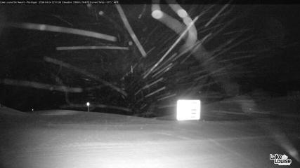 Fernie: Ptarmigan (skifernie.com)