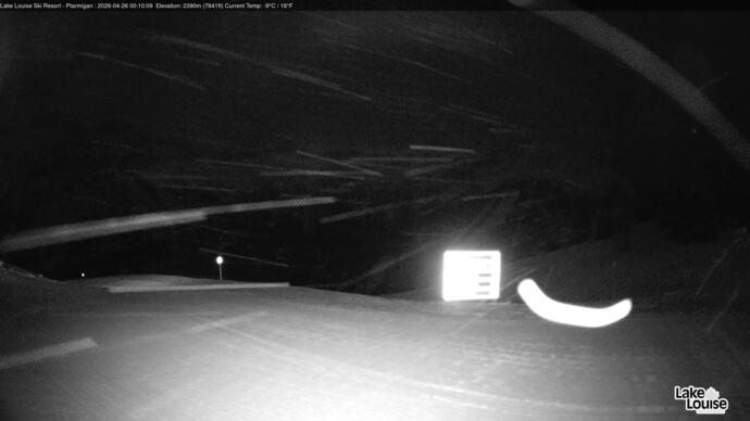 Webcam Fernie: Ptarmigan