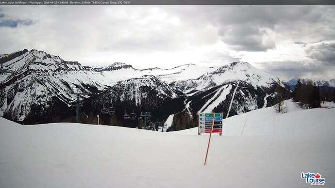 Webcam Fernie: Ptarmigan