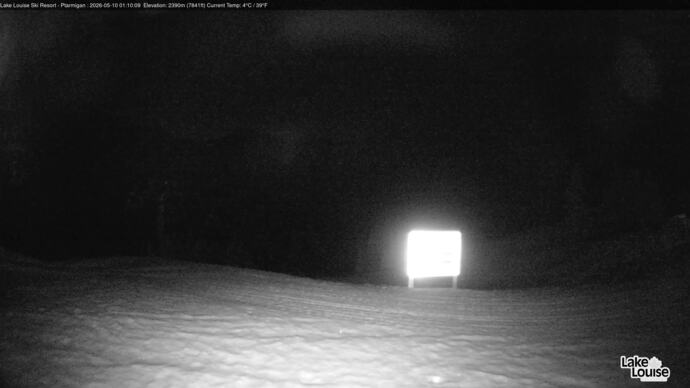 Webcam Fernie: Ptarmigan