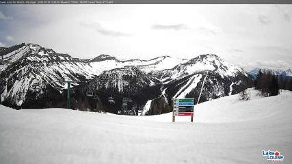 Fernie: Ptarmigan (skifernie.com)