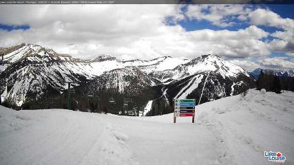 Fernie: Ptarmigan (skifernie.com)