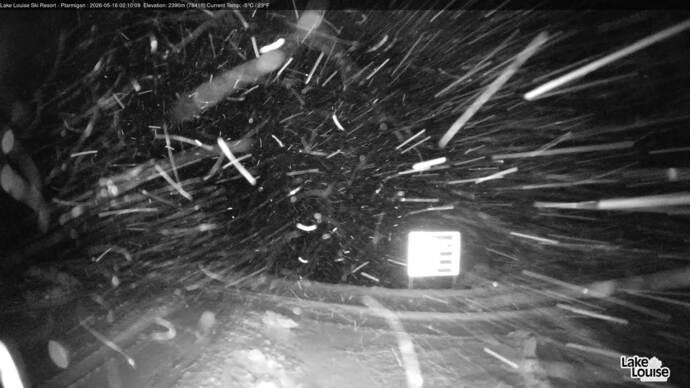 Webcam Fernie: Ptarmigan