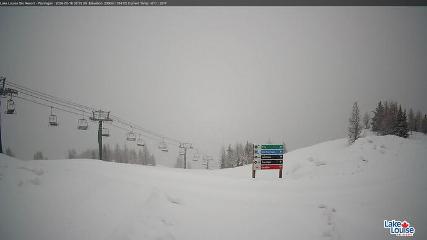 Fernie: Ptarmigan (skifernie.com)