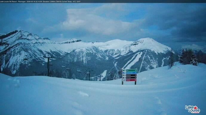 Webcam Fernie: Ptarmigan