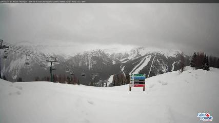 Fernie: Ptarmigan (skifernie.com)