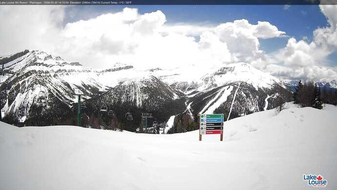 Webcam Fernie: Ptarmigan