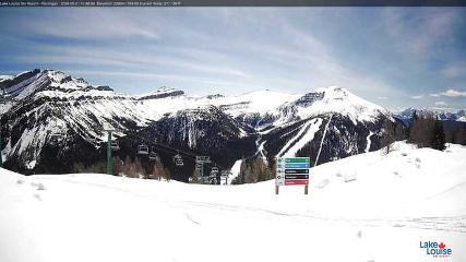 Fernie: Ptarmigan (skifernie.com)